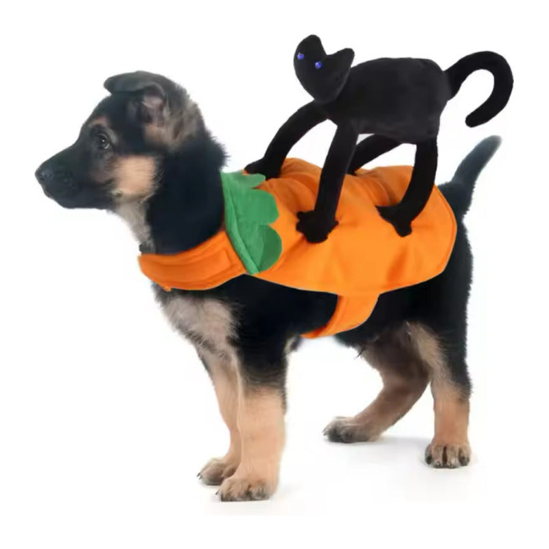 Disfraz Calabaza Con Gatos Negro Para Perro /gatos Halloween