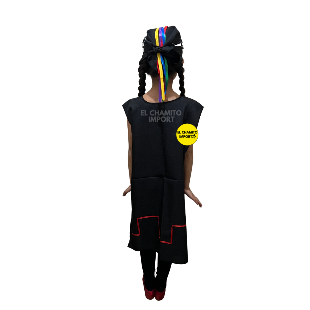 Disfraz Traje Tipico Mapuche Niña
