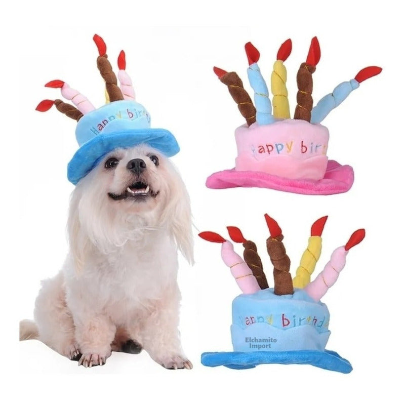 Gorro Cumpleaños Feliz Mascotas Perro Gato