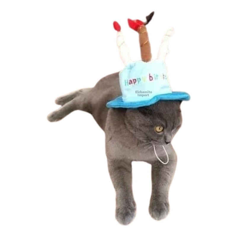 Gorro Cumpleaños Feliz Mascotas Perro Gato