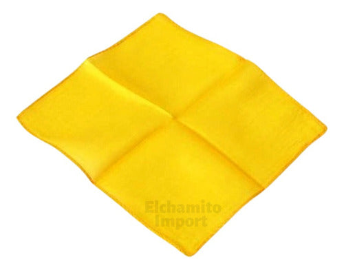Pañuelo 60 X 60 Tipo Seda Elegante Accesorio