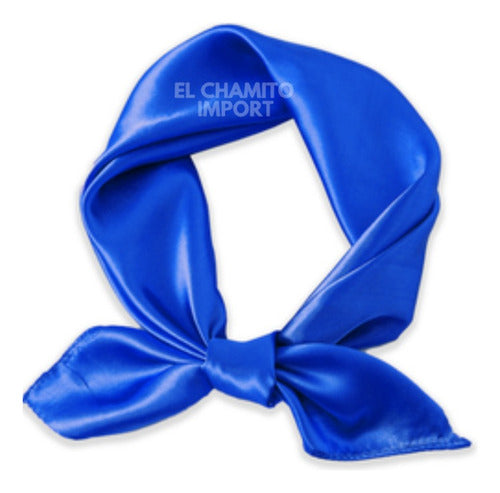 Pañuelo 60 X 60 Tipo Seda Elegante Accesorio