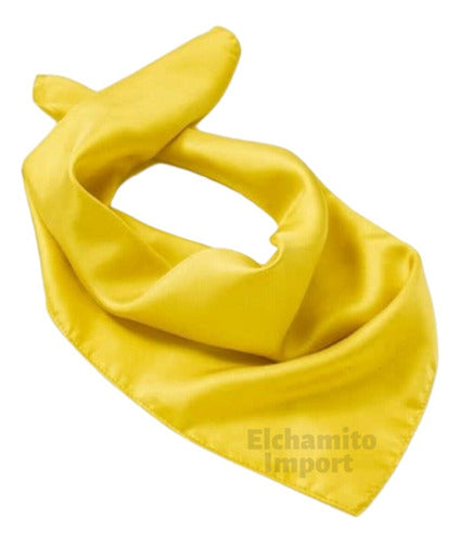 Pañuelo 60 X 60 Tipo Seda Elegante Accesorio
