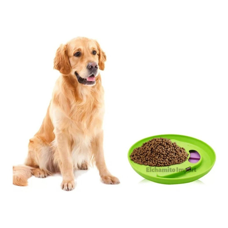 Frisbee Juguete Para Mascota Juego