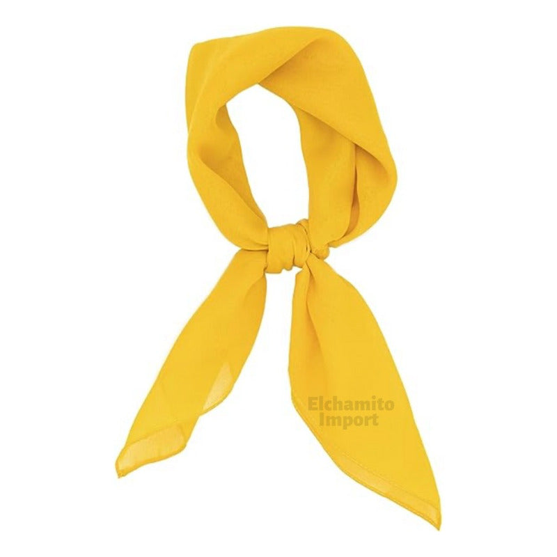 Pañuelo 60 X 60 Tipo Seda Elegante Accesorio