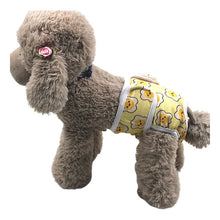 Pañal Para Perros Ecológico Reutilizable Celo Talla M
