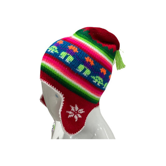 Gorro Chullo Lana  Unisex Multicolor Standar
