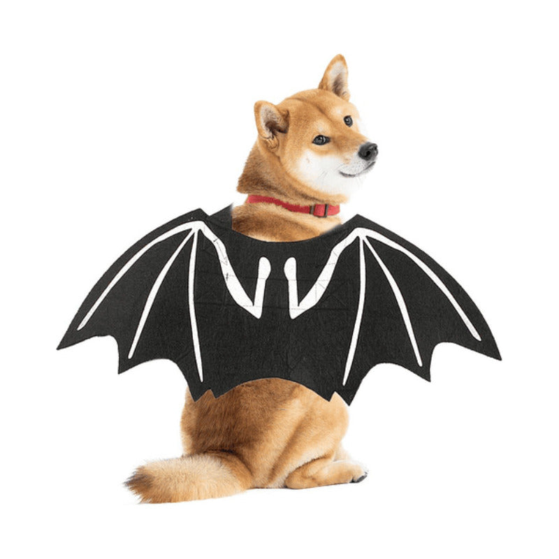 Disfraz Alas De Murciélago Para Gatos/perros Halloween