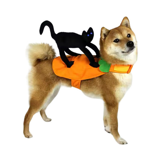 Disfraz Calabaza Con Gatos Negro Para Perro /gatos Halloween