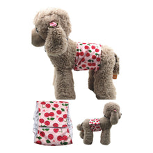 Pañal Para Perros Ecológico Reutilizable Celo Talla M