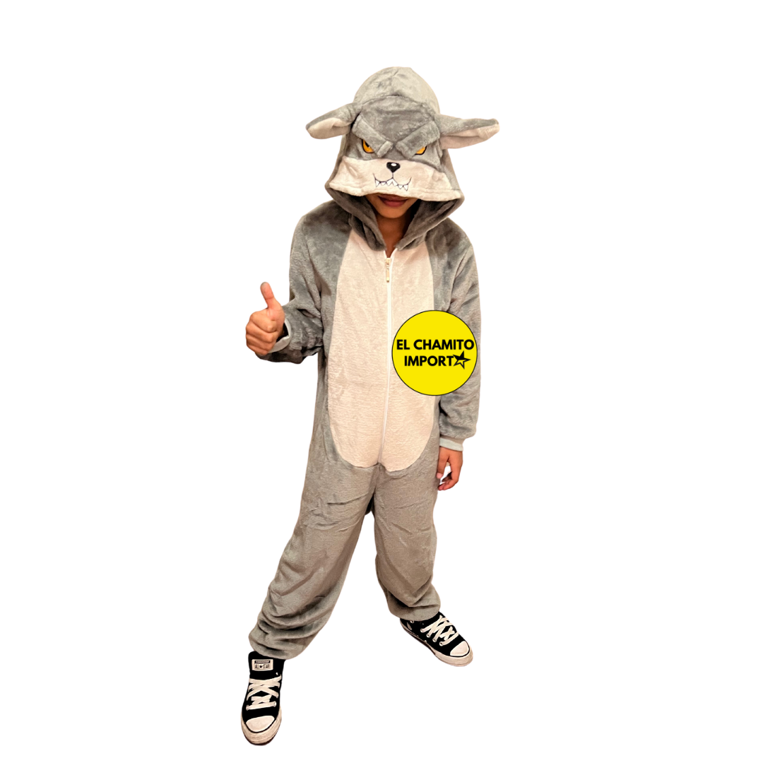 Disfraces De Personajes De Cuentos Para Niños