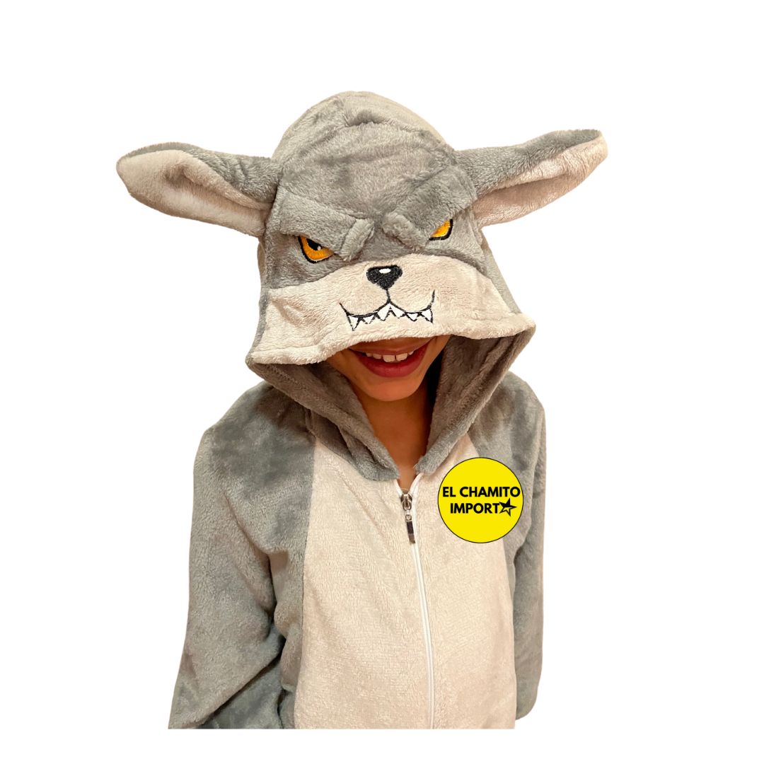 Disfraces De Personajes De Cuentos Para Niños