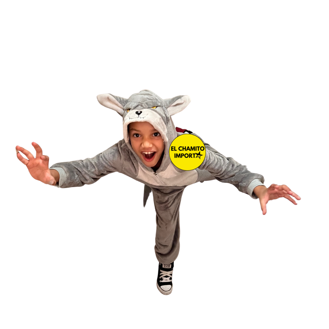 Disfraces De Personajes De Cuentos Para Niños