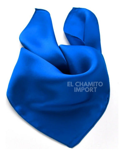 Pañuelo 60 X 60 Tipo Seda Elegante Accesorio