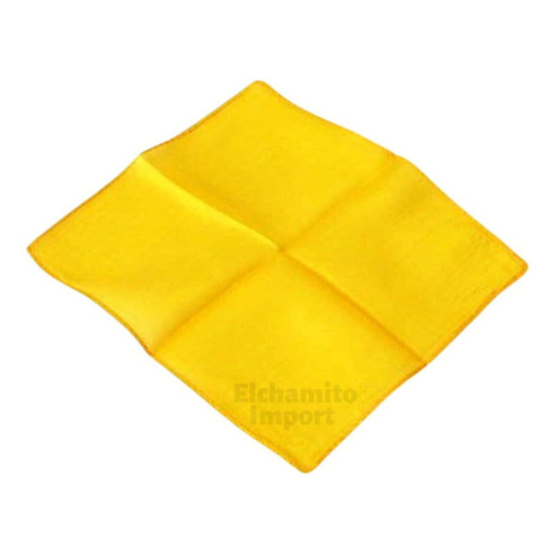 Pañuelo 60 X 60 Tipo Seda Elegante Accesorio