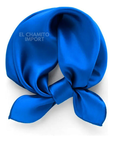 Pañuelo 60 X 60 Tipo Seda Elegante Accesorio