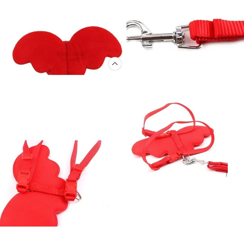 Arnes Para Gatos Perros Pechera Diseño Alas Murcielago