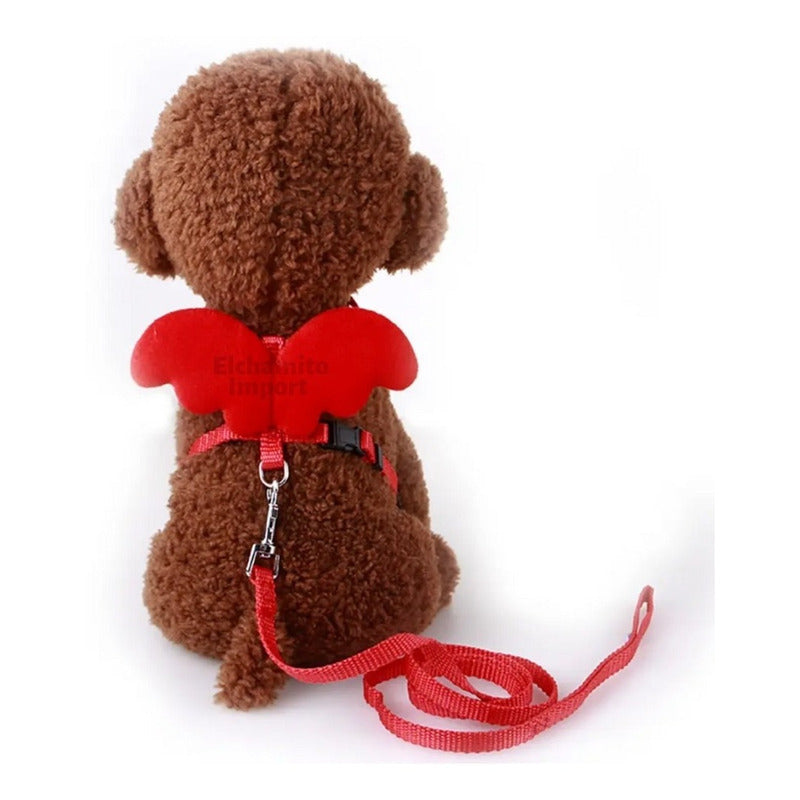 Arnes Para Gatos Perros Pechera Diseño Alas Murcielago