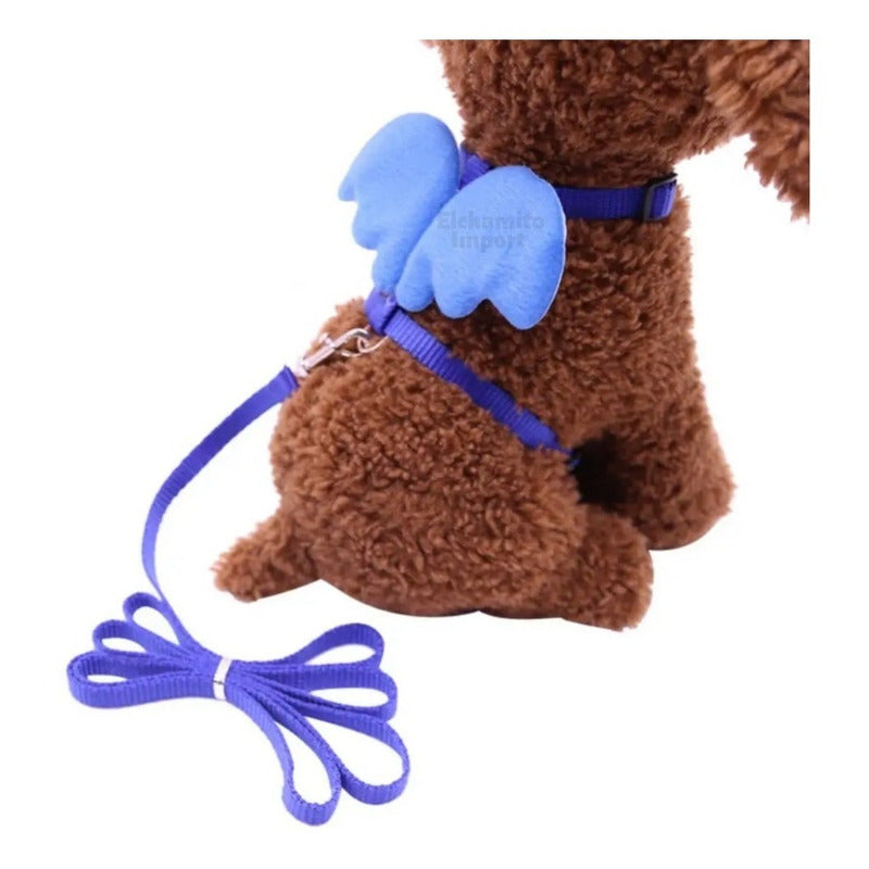 Arnes Para Gatos Perros Pechera Diseño Alas Murcielago