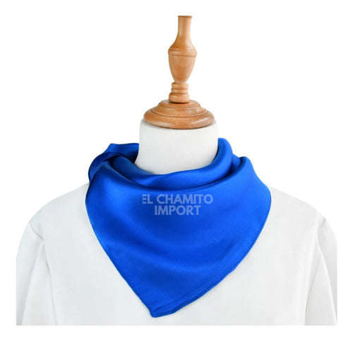 Pañuelo 60 X 60 Tipo Seda Elegante Accesorio