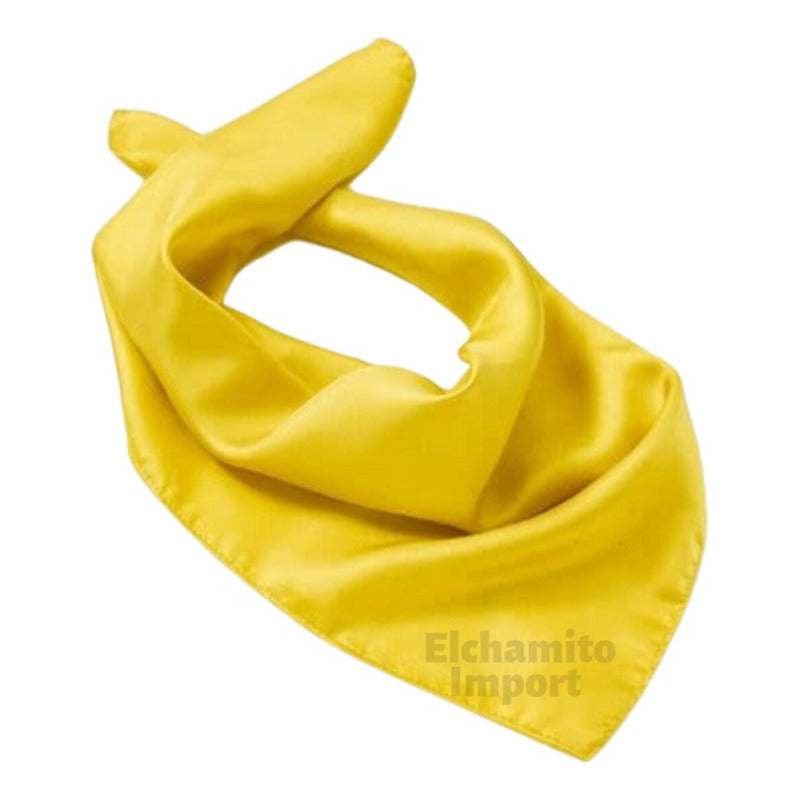 Pañuelo 60 X 60 Tipo Seda Elegante Accesorio