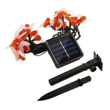 Luces Solar Avejas 5mts
