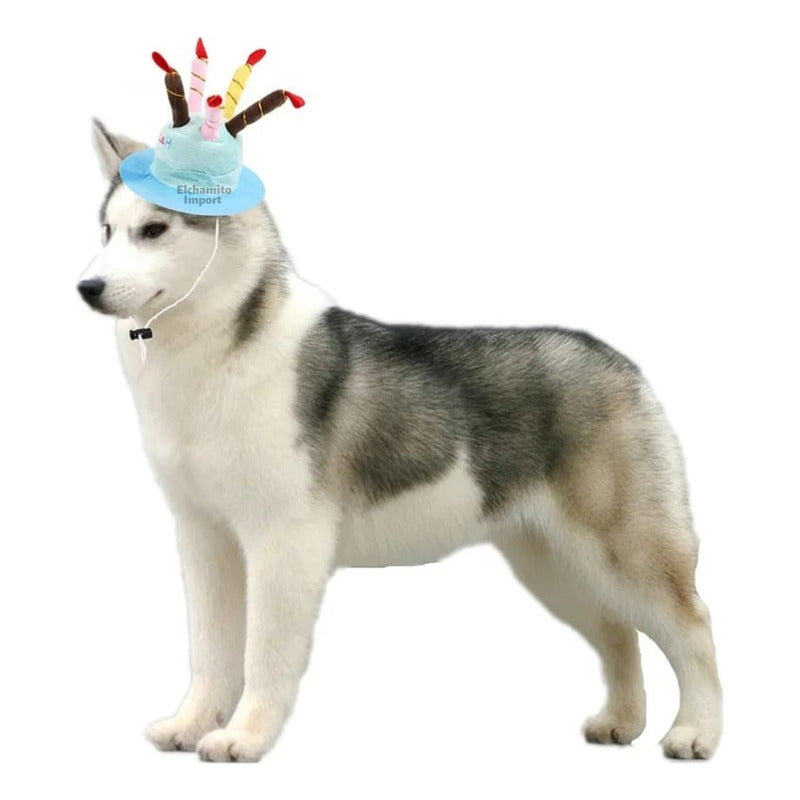 Gorro Cumpleaños Feliz Mascotas Perro Gato